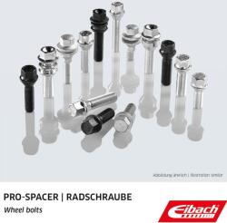 EIBACH surub roata EIBACH Pro Spacer, Service parts S1-1-12-50-32-17 (S1-1-12-50-32-17)