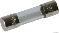 Herth+buss Elparts siguranta fuzibila HERTH+BUSS ELPARTS 50295053 (50295053)