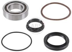 ABS Set rulment roata ABS 200687 (200687)