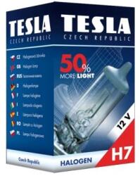 Tesla Bec, far principal TESLA B30701 (B30701)