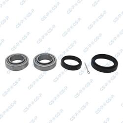 GSP Set rulment roata GSP GK1366 (GK1366)