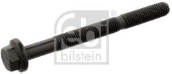 Febi Bilstein surub chiulasa FEBI BILSTEIN 14360 (14360)