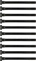 REINZ Set surub, chiulasa REINZ 14-32000-01 (14-32000-01)