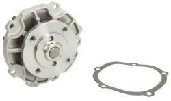 THERMOTEC Pompă de apă, răcire motor THERMOTEC D1Y029TT (D1Y029TT)