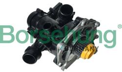 BORSEHUNG Pompă de apă, răcire motor BORSEHUNG B18971 (B18971)