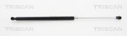 TRISCAN Amortizor portbagaj TRISCAN 8710 38229 (8710 38229)