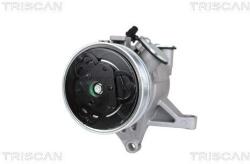 TRISCAN Compresor, climatizare TRISCAN 9020 68001 (9020 68001) - automobilus
