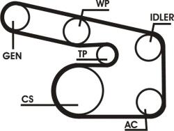 Continental Ctam Set curea transmisie cu caneluri CONTINENTAL CTAM 6PK1873D1 (6PK1873D1) - automobilus