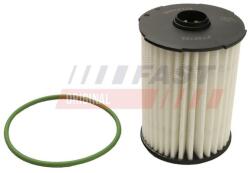 FAST Filtru ulei FAST FT38103 (FT38103)