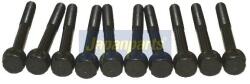 JAPANPARTS Set surub, chiulasa JAPANPARTS BL-K05 (BL-K05)