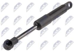 NTY Amortizor portbagaj NTY AE-RE-052 (AE-RE-052)
