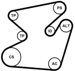 Continental Ctam Set curea transmisie cu caneluri CONTINENTAL CTAM 6PK1950K1 (6PK1950K1) - automobilus