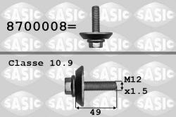 SASIC Surub fulie SASIC 8700008 (8700008)