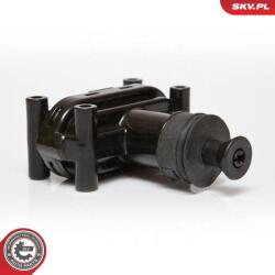 ESEN SKV incuietoare usa ESEN SKV 16SKV110 (16SKV110)