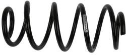 SACHS Arc spiral SACHS 992 239 (992 239)