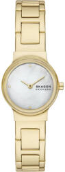 Skagen SKW3167 Ceas