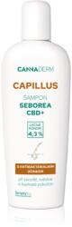 Cannaderm Capillus Seborea CBD+ Shampoo sampon korpásodás ellen 150 ml