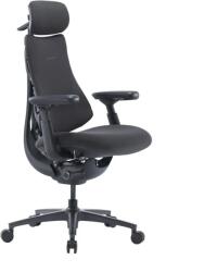 LiberNovo Scaun ergonomic LiberNovo Omni Pro de 48 cm (grafit) (091216)