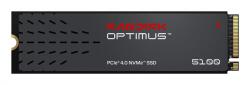 SanDisk Optimus 5100 1TB M.2 (SDSP51100TAN-000E0)