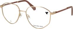Calvin Klein Optical Frame CKJ25204 770 55 Rama ochelari