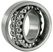 SKF 2213 Ektn9 (skf)