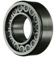 INA Sl 04 5007 Pp (ina)