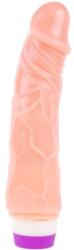 LyBaile BAILE - Vibrator Realist Linex cu Regulator Viteză, Gelatină, 20 cm Vibrator