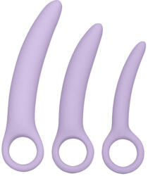 CalExotics - Dr. Laura Berman Set dilatatoare vaginale din silicon 3 piese Dildo