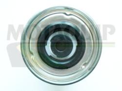 MOTAQUIP Filtru combustibil MOTAQUIP VFF348 (VFF348)