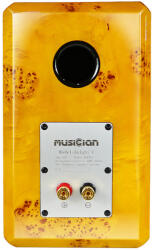 Musician Audio KNIGHT V Amber (x2) Boxe audio
