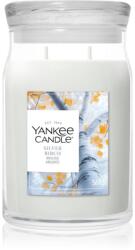Yankee Candle Silver Birch lumânare parfumată 567 g