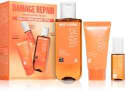 mise en scene Perfect Original Kit szett a fénylő és selymes hajért