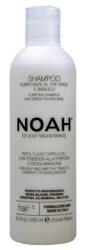 NOAH 1.5 Természetes tisztító sampon zöld teával korpás hajra, 250 ml