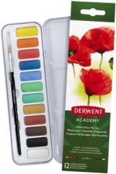 Derwent Set 12 acuarele cu pensula Derwent Academy 2301955 (2301955)