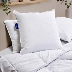 Bleu Câlin Alaska párna szett 2 db, kemény komfort, 100% pamut percal huzat, fehér, 65x65 cm, négyzet alakú