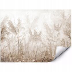MPINK Prémium Fotótapéta Bézs Fű Pampa Természet Köd 300x210 cm (GP-FTAP_4_TIT_3X2,1M-0019)