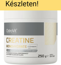 OstroVit Creatine Monohydrate Creapure 250 g unflavored Unflavored (Natúr)