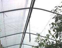 Tvk Heliofol Folie interioara solar (0.1*520*56M)