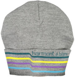Harmont & Blaine Grey Férfi Sapó