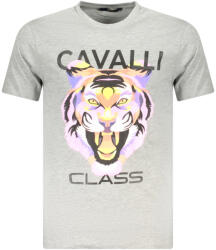 Cavalli Class Cavalli Osztály Rövid Ujjú Póló Férfi Szürke