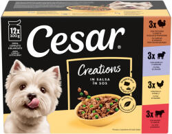 Cesar tasak MP nedves kutyaeledel vegyes válogatás szószban 12x100g
