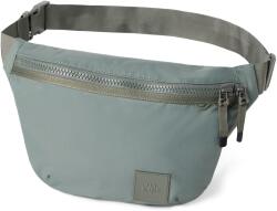 Dakine RENOVATION HIP PACK - MULLED BASIL (194626580593)
