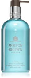 Molton Brown Coastal Cypress & Sea Fennel Hand Wash Săpun lichid pentru mâini 300 ml