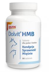 DOLFOS Supliment susținere masă musculară la câini și pisici DOLFOS Dolvit HMB 90 tablete