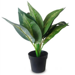  Műnövény cserepes Dieffenbachia jellegű