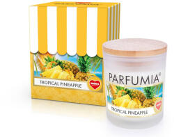 Dedra ANANAS TROPICAL | lumânare parfumată cu soia | PARFUM® | 250 ml