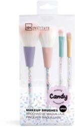  Set de pensule de machiaj IDC (4 buc/cutie)