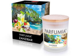  ZANZIBAR | lumânare parfumată cu soia | PARFUMIA® | 250 ml