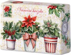  Săpun 200 g - Poinsettia