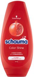 Schauma Balsam de păr Color Shine 250 ml